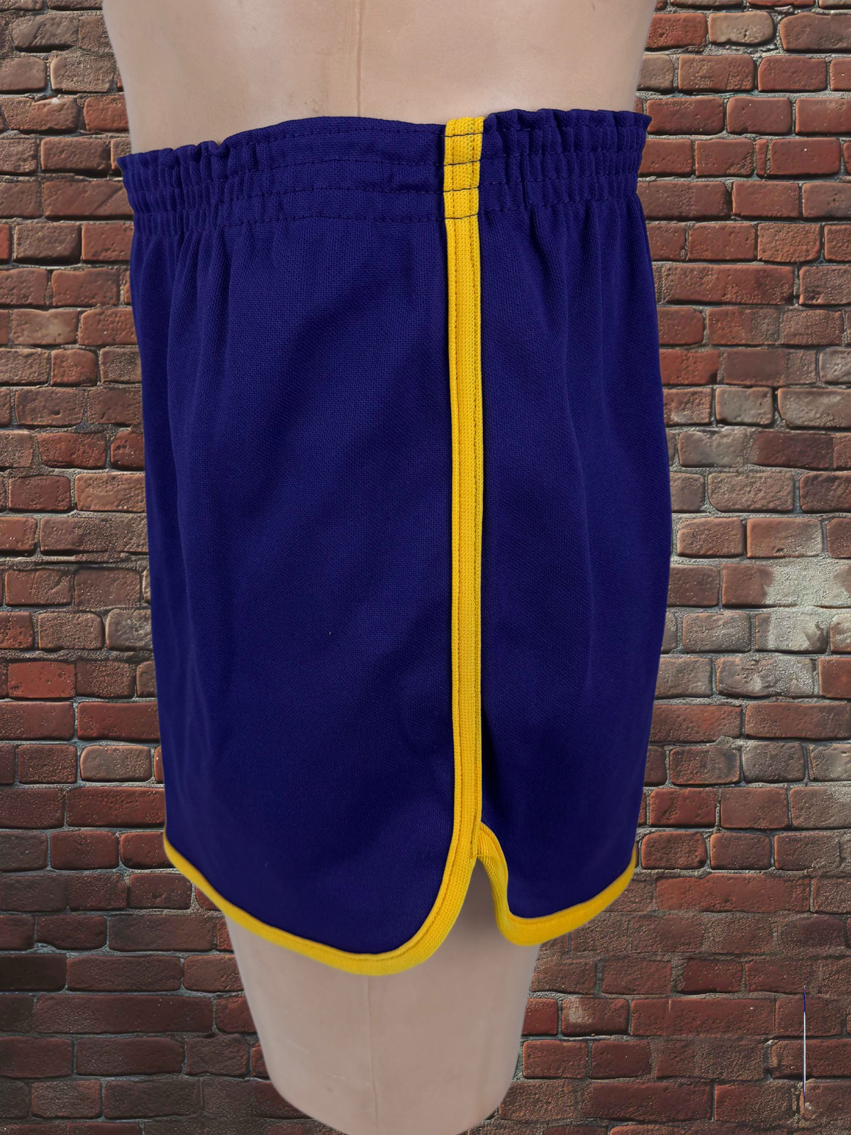 Vintage Broderick Large Gym Shorts Deadstock NWOT-Purple/Gold