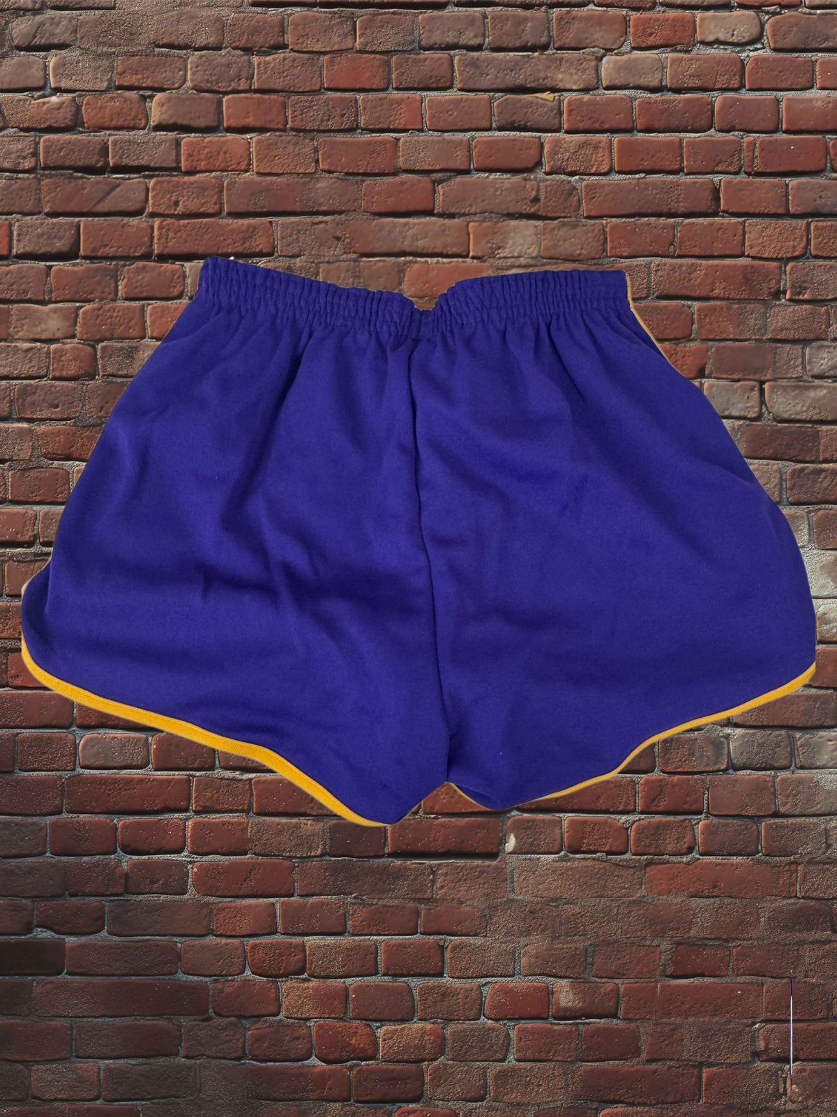 Vintage Broderick Large Gym Shorts Deadstock NWOT-Purple/Gold