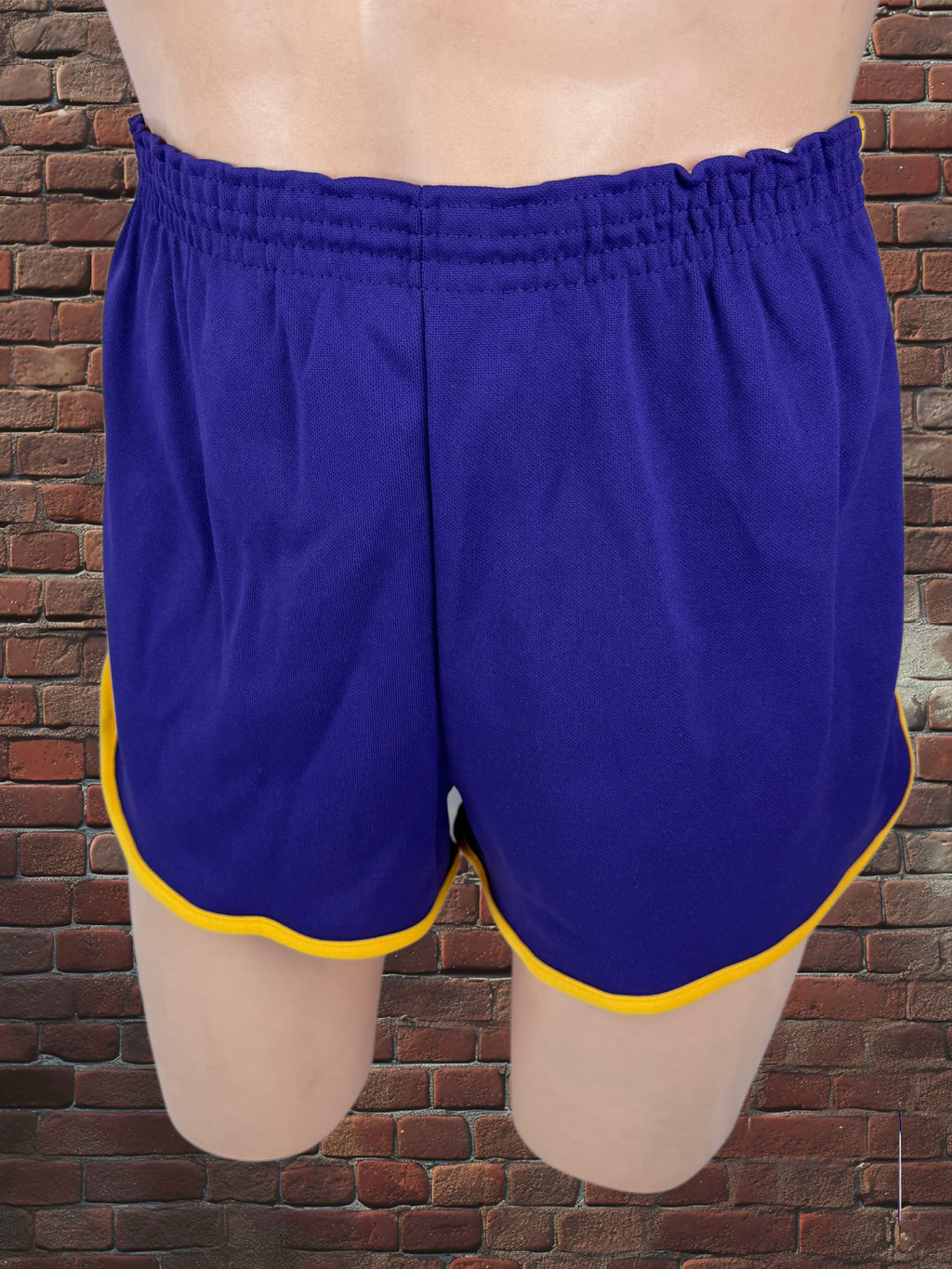 Vintage Broderick Large Gym Shorts Deadstock NWOT-Purple/Gold