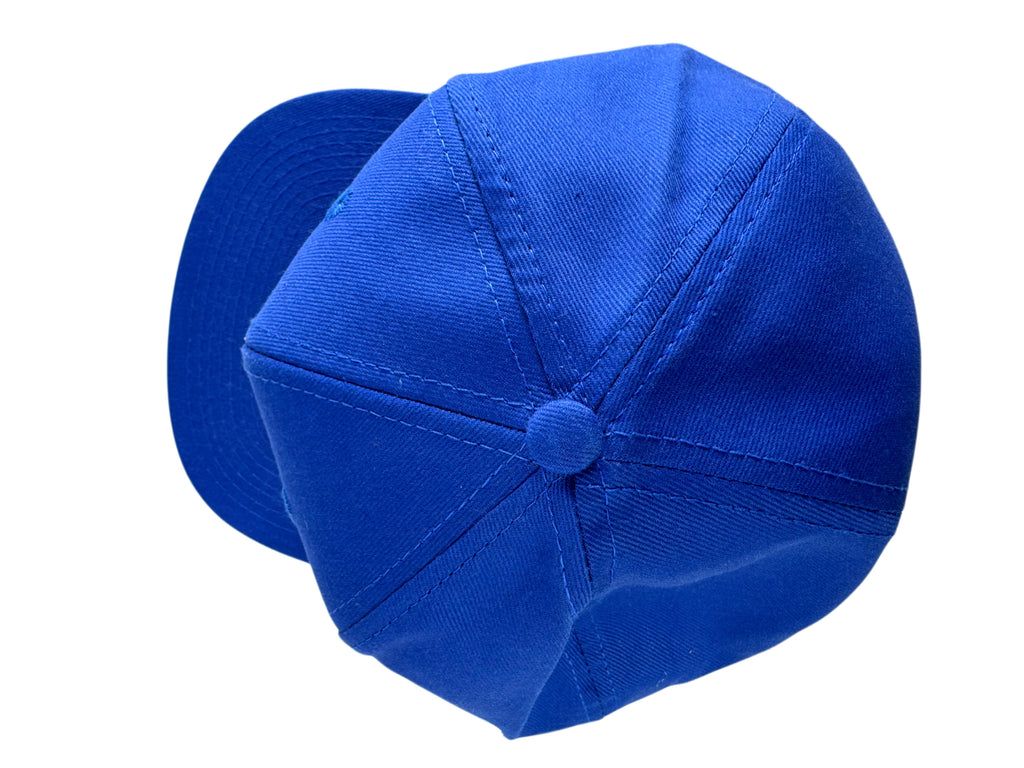 A royal blue six-panel baseball cap with a curved brim, shown from a three-quarters angle on a solid white background.
