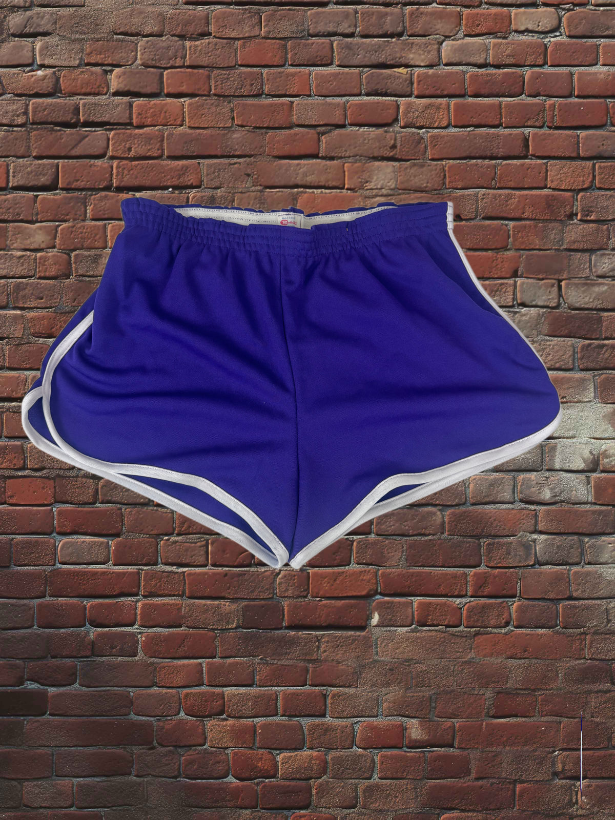 Vintage Broderick Large Gym Shorts Deadstock NWOT-Purple/White