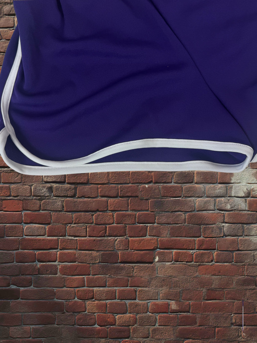 Vintage Broderick Large Gym Shorts Deadstock NWOT-Purple/White
