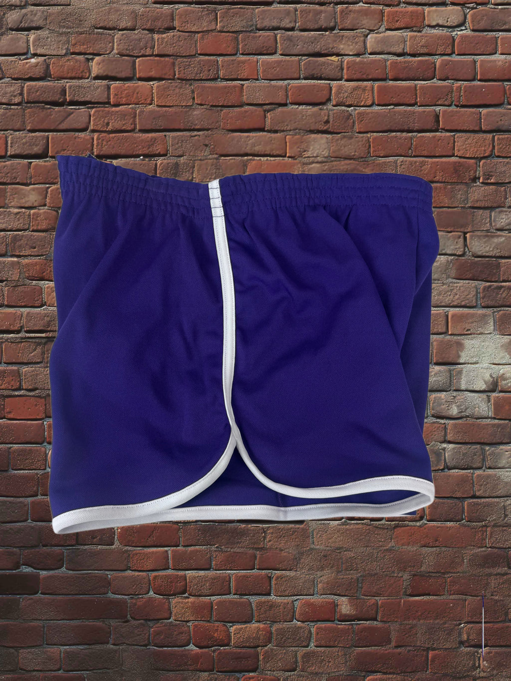 Vintage Broderick Large Gym Shorts Deadstock NWOT-Purple/White