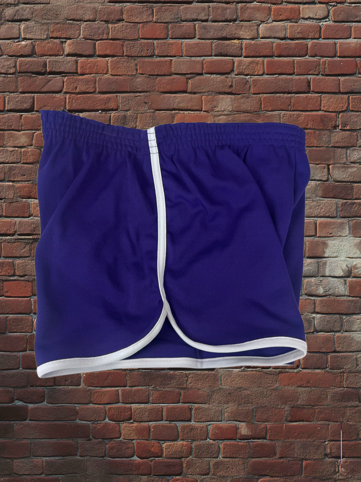 Vintage Broderick Large Gym Shorts Deadstock NWOT-Purple/White