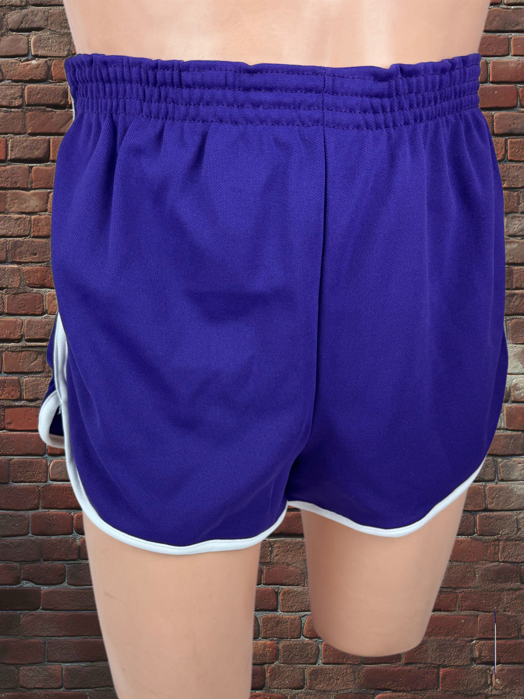 Vintage Broderick Large Gym Shorts Deadstock NWOT-Purple/White