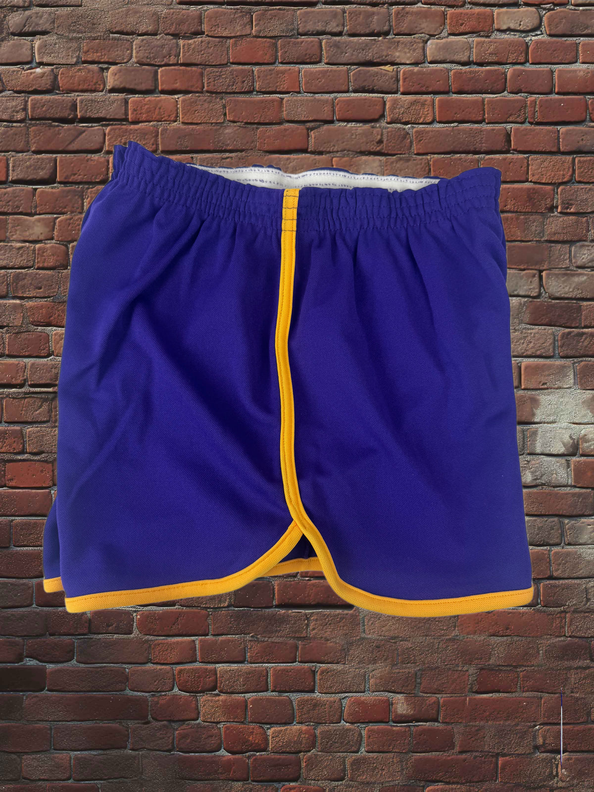 Vintage Broderick Large Gym Shorts Deadstock NWOT-Purple/Gold