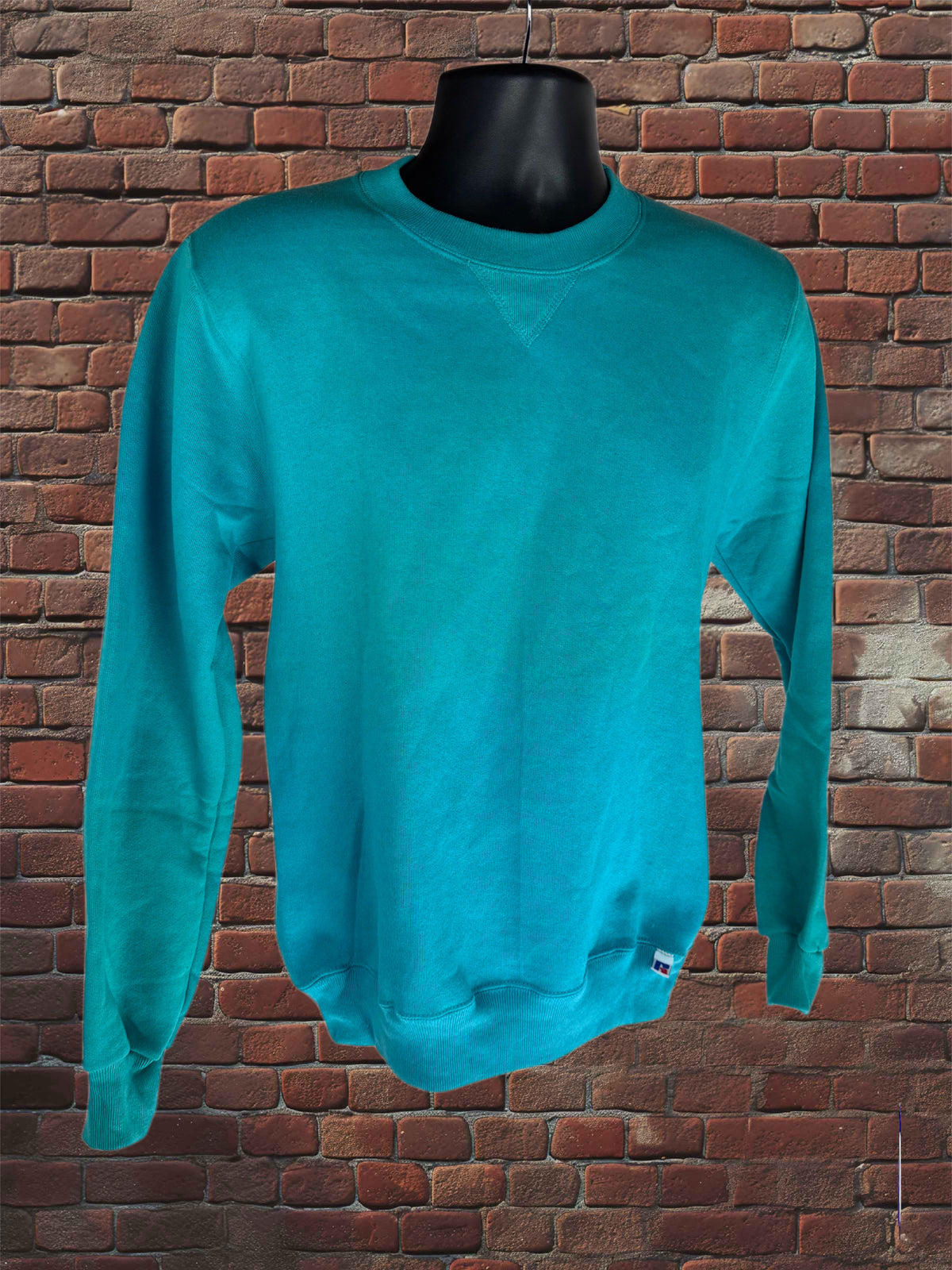 Vintage Deadstock Russell Athletic Parrot (Teal) Sweatshirt Small Blue-Tag 1980s
