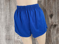 Vintage Russell Athletic Gym Shorts 80s Deadstock Royal Blue (Small)