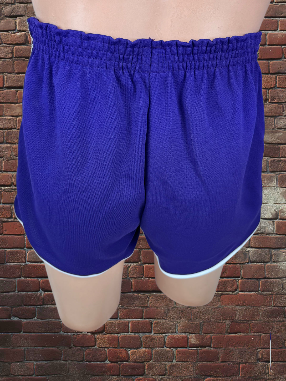 Vintage Broderick Large Gym Shorts Deadstock NWOT-Purple/White
