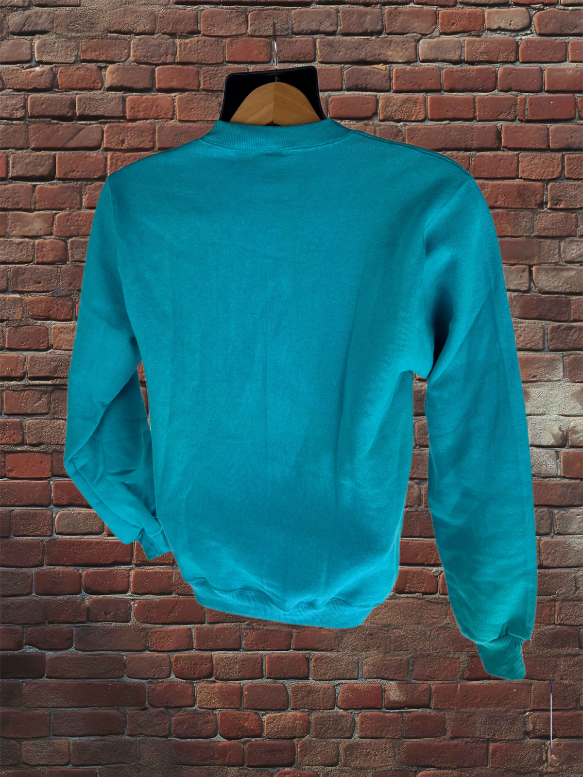 Vintage Deadstock Russell Athletic Parrot (Teal) Sweatshirt Small Blue-Tag 1980s