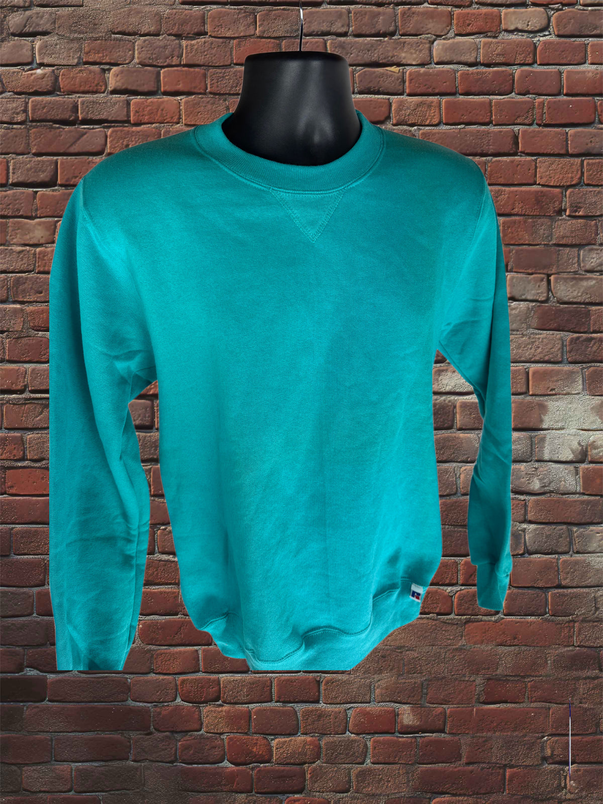 Vintage Deadstock Russell Athletic Parrot (Teal) Sweatshirt Small Blue-Tag 1980s