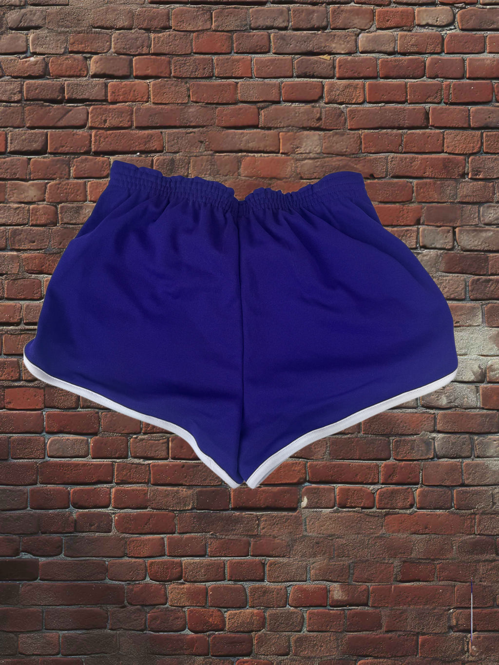 Vintage Broderick Large Gym Shorts Deadstock NWOT-Purple/White