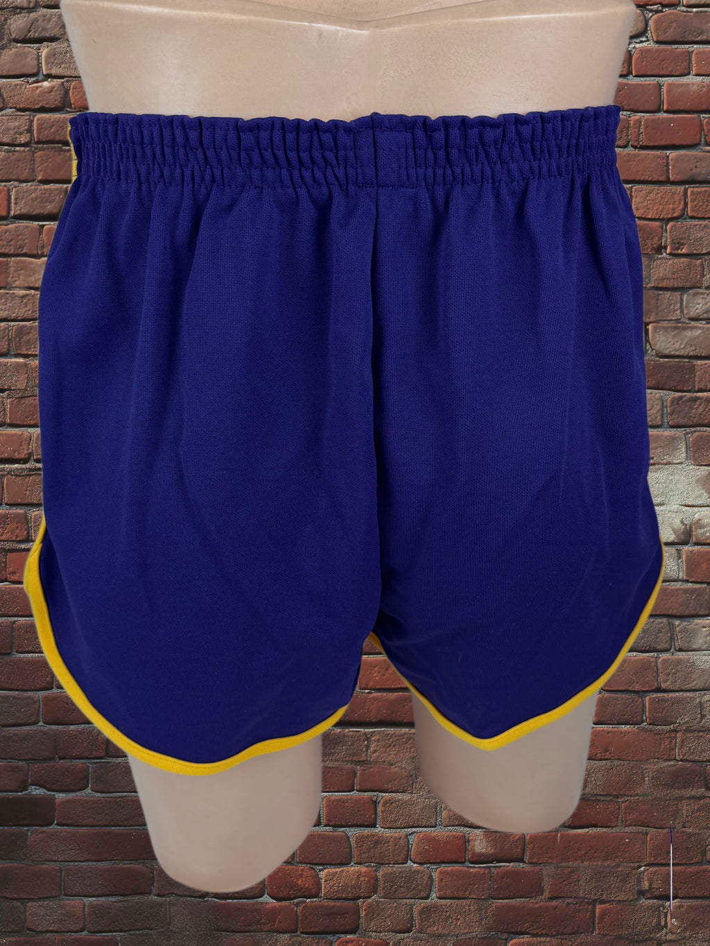 Vintage Broderick Large Gym Shorts Deadstock NWOT-Purple/Gold