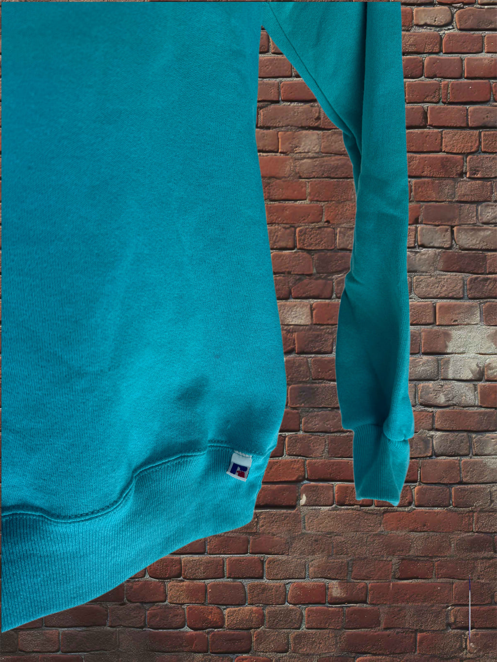 Vintage Deadstock Russell Athletic Parrot (Teal) Sweatshirt Small Blue-Tag 1980s