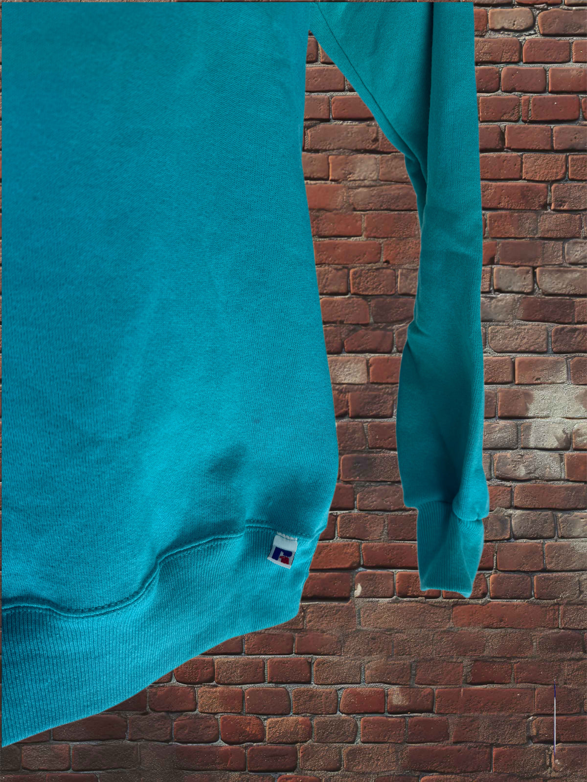 Vintage Deadstock Russell Athletic Parrot (Teal) Sweatshirt Small Blue-Tag 1980s