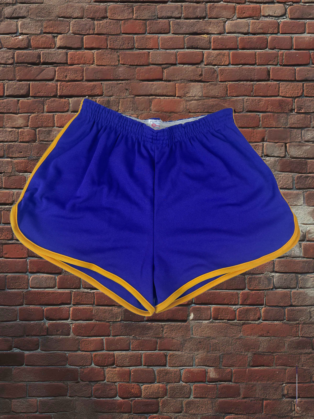 Vintage Broderick Large Gym Shorts Deadstock NWOT-Purple/Gold