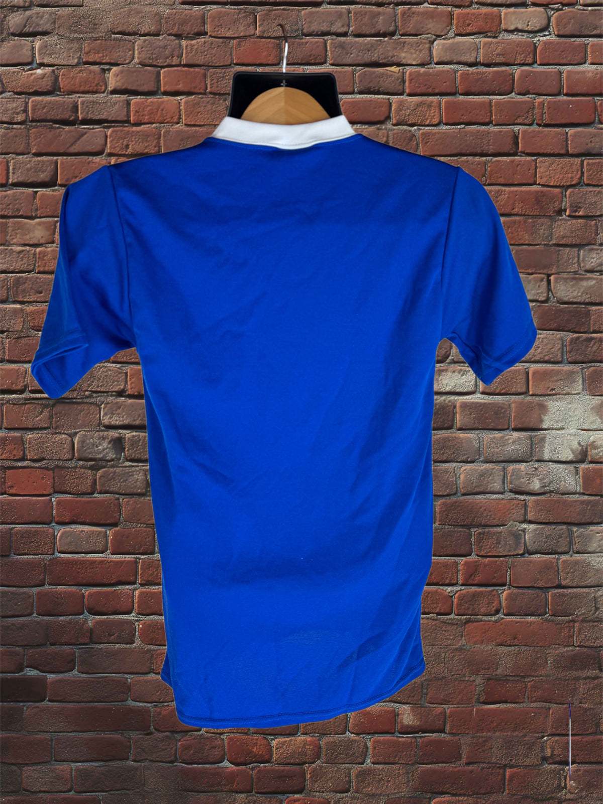 A royal blue short-sleeve t-shirt with a white collar, displayed on a wooden hanger against a red-brown brick wall background.
