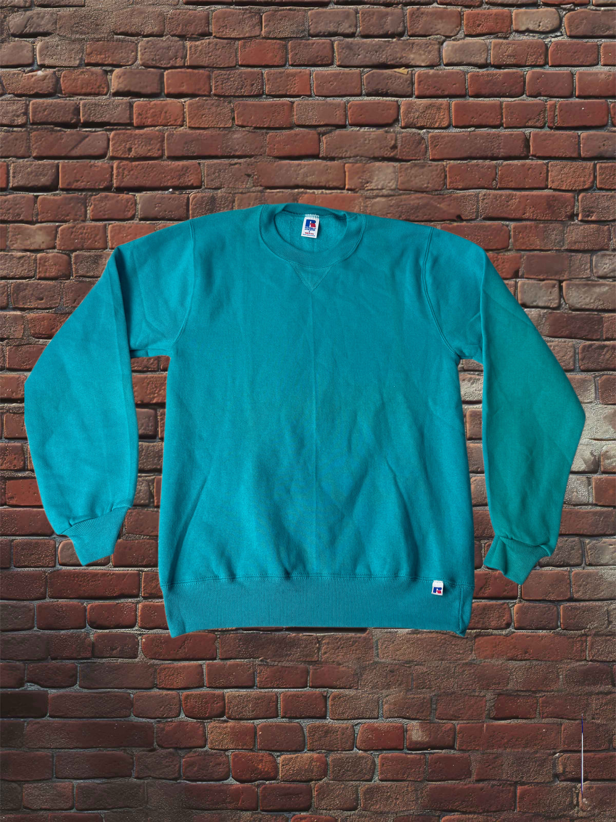 Vintage Deadstock Russell Athletic Parrot (Teal) Sweatshirt Small Blue-Tag 1980s