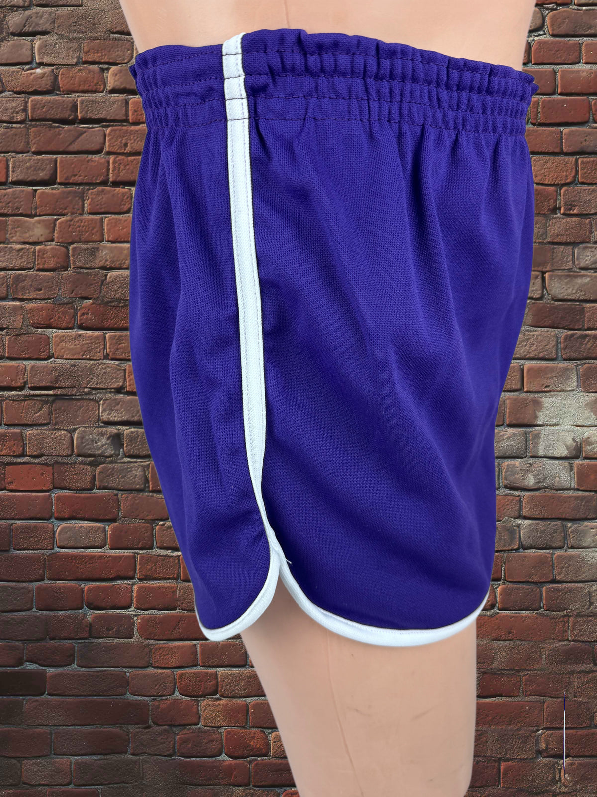 Vintage Broderick Large Gym Shorts Deadstock NWOT-Purple/White